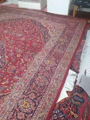 فرش دستباف سالمه در گروه خرید و فروش لوازم خانگی در گلستان در شیپور-عکس1