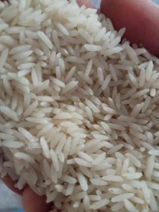 فروش برنج ‌طارم در گروه خرید و فروش خدمات و کسب و کار در مازندران در شیپور-عکس1