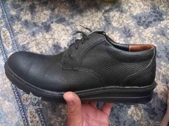 کفش مردانه راحتی در گروه خرید و فروش لوازم شخصی در آذربایجان شرقی در شیپور-عکس1