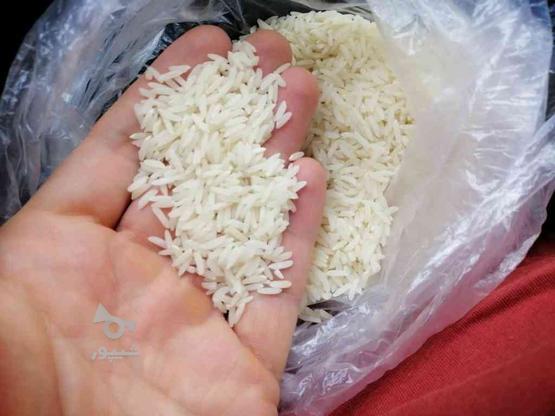 برنج هاشمی امل برای زمین کشاورزی خودمون 2 تن در گروه خرید و فروش خدمات و کسب و کار در تهران در شیپور-عکس1