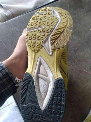کفش تاناکورا اصلی ارجینال کره مارک PRO_SPECS MADE در گروه خرید و فروش لوازم شخصی در کردستان در شیپور-عکس1