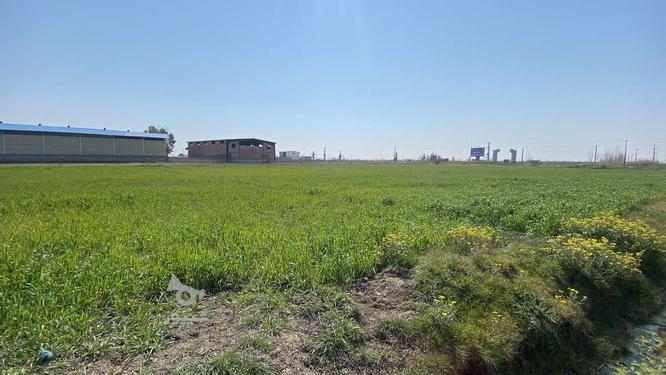 زمین کشاورزی وصل به مسکونی در گروه خرید و فروش املاک در مازندران در شیپور-عکس1
