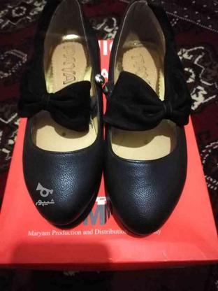 کفش راحتی سایز 37 در گروه خرید و فروش لوازم شخصی در خراسان رضوی در شیپور-عکس1