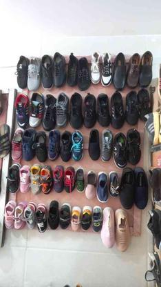 فروش کفش اسپرت در گروه خرید و فروش لوازم شخصی در چهارمحال و بختیاری در شیپور-عکس1