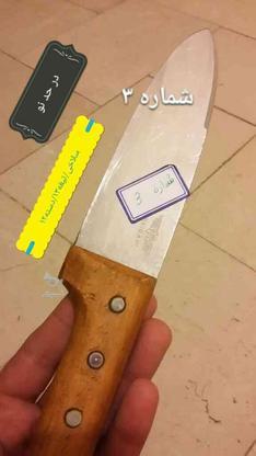 تعدادی چاقو استیل حیدری زنجان در گروه خرید و فروش لوازم خانگی در تهران در شیپور-عکس1