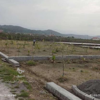فروش زمین 120 متری زمین شهرکی شرایط اقساطی بدون سود در گروه خرید و فروش املاک در مازندران در شیپور-عکس1