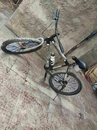 دوچرخه سالم 26هست در گروه خرید و فروش ورزش فرهنگ فراغت در گلستان در شیپور-عکس1