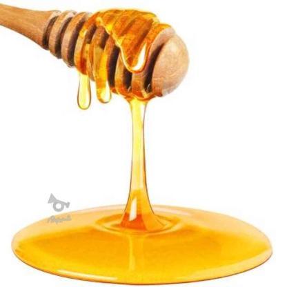 فروش نقدو چک عمده عسل و زغال چینی قلیانی از 25هزار تومان در گروه خرید و فروش خدمات و کسب و کار در مازندران در شیپور-عکس1