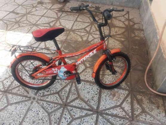 دوچرخه 16 با لاستیک نو در گروه خرید و فروش ورزش فرهنگ فراغت در خراسان رضوی در شیپور-عکس1