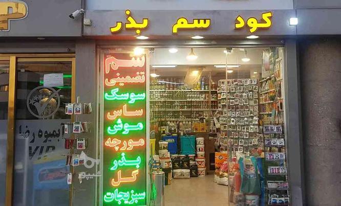 سم ساس‌سوسک‌مورچه‌مگس‌موش‌سمپاشی در گروه خرید و فروش لوازم شخصی در تهران در شیپور-عکس1