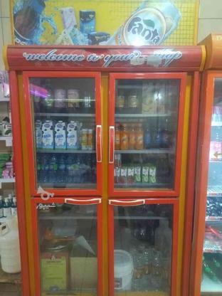 فروش یخچال فروشگاهی در گروه خرید و فروش صنعتی، اداری و تجاری در چهارمحال و بختیاری در شیپور-عکس1