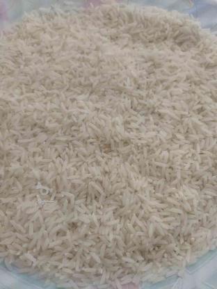 برنج طارم دم سیاه در گروه خرید و فروش خدمات و کسب و کار در اصفهان در شیپور-عکس1