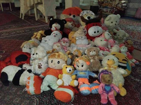 عروسک خارجی همه رقم هست داخلش در گروه خرید و فروش ورزش فرهنگ فراغت در آذربایجان شرقی در شیپور-عکس1