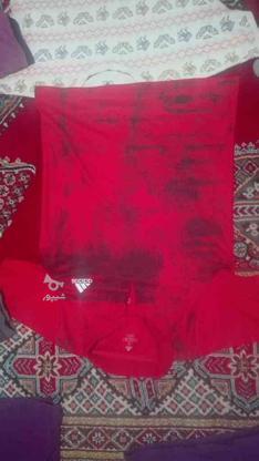 لباس های مارک دار تاناکورایی اصل با سایز مختلف در گروه خرید و فروش لوازم شخصی در گلستان در شیپور-عکس1