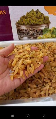 زعفران نرمه خالص در گروه خرید و فروش خدمات و کسب و کار در گلستان در شیپور-عکس1