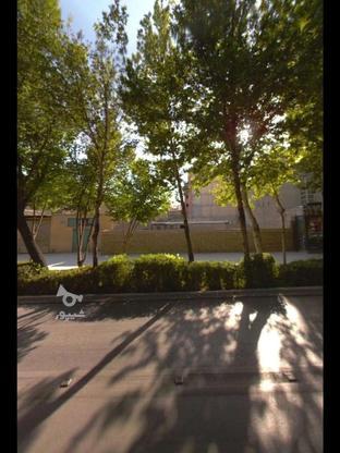 فردوسی نبش استانداری 4 رو پیلوت (مزایده بورسی) در گروه خرید و فروش املاک در اصفهان در شیپور-عکس1