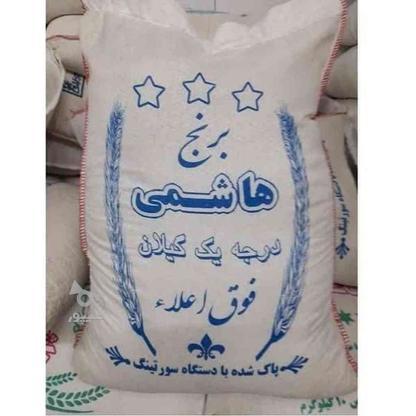 برنج هاشمی گیلان درجه یک در گروه خرید و فروش خدمات و کسب و کار در تهران در شیپور-عکس1