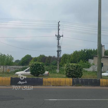 فروش زمین اداری و تجاری 3200 متر در کمربندی امیرکلا در گروه خرید و فروش املاک در مازندران در شیپور-عکس1