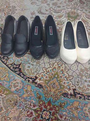 کفش مجلسی واقعا تمیز بیا کنار میایم در گروه خرید و فروش لوازم شخصی در تهران در شیپور-عکس1
