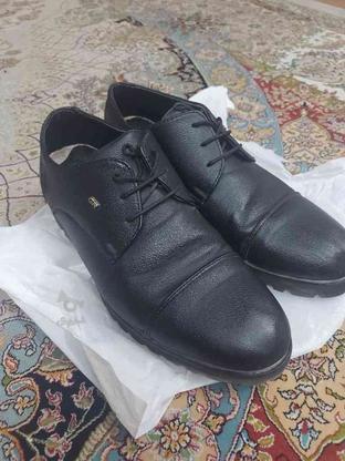 کفش مجلسی و محکم در گروه خرید و فروش لوازم شخصی در تهران در شیپور-عکس1