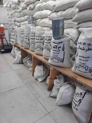 برنج طارم هاشمی ممتاز در گروه خرید و فروش خدمات و کسب و کار در تهران در شیپور-عکس1