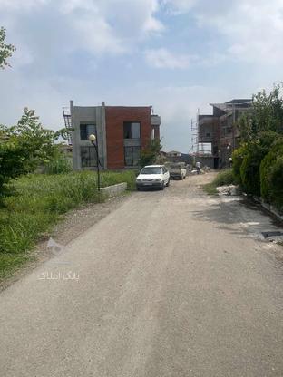 فروش زمین مسکونی 260 متر در شهرک صفاییه در گروه خرید و فروش املاک در مازندران در شیپور-عکس1