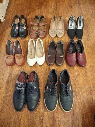 10 جفت کفش مردانه و زنانه در گروه خرید و فروش لوازم شخصی در البرز در شیپور-عکس1