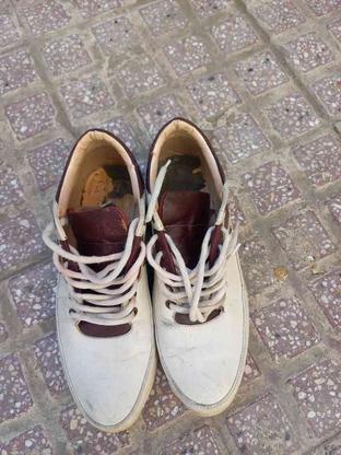 کفش مردانه در گروه خرید و فروش لوازم شخصی در تهران در شیپور-عکس1