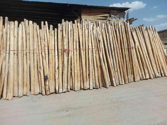 خریدار چوب در گروه خرید و فروش خدمات و کسب و کار در چهارمحال و بختیاری در شیپور-عکس1