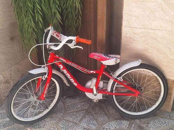 دوچرخه سالم در گروه خرید و فروش ورزش فرهنگ فراغت در البرز در شیپور-عکس1