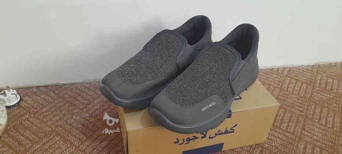 کفش مدل اسکیچرز در گروه خرید و فروش لوازم شخصی در فارس در شیپور-عکس1