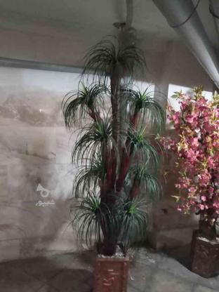 گلدان مصنوعی سالم تمیز در گروه خرید و فروش لوازم خانگی در تهران در شیپور-عکس1