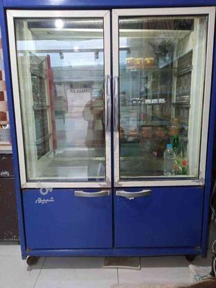 فروش یخچال مغازه در گروه خرید و فروش صنعتی، اداری و تجاری در مازندران در شیپور-عکس1