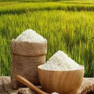 برنج ممتاز آستانه اشرفیه
