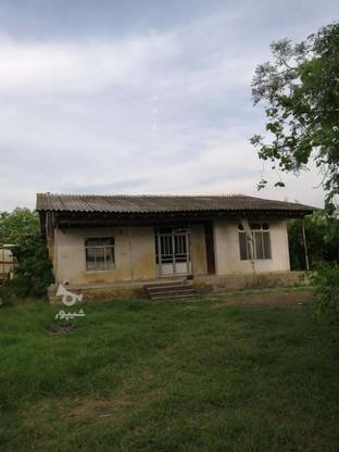 فروش خانه قدیمی متراژ زمین هزار متر در گروه خرید و فروش املاک در مازندران در شیپور-عکس1