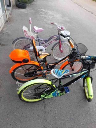 5 دستگاه دوچرخه سایز 20 کویر KAVER و CAFDES کافدیس وگالانت در گروه خرید و فروش ورزش فرهنگ فراغت در مازندران در شیپور-عکس1