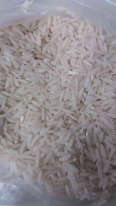 فروش برنج درجه 1 طارم هاشمی معطر در گروه خرید و فروش خدمات و کسب و کار در مازندران در شیپور-عکس1