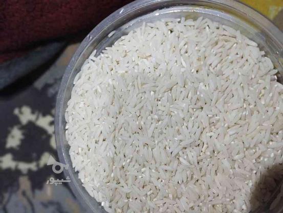 برنج هاشمی درجه یک در گروه خرید و فروش خدمات و کسب و کار در مازندران در شیپور-عکس1