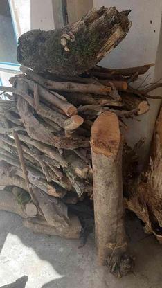 فروش چوب زغالی در گروه خرید و فروش خدمات و کسب و کار در گلستان در شیپور-عکس1