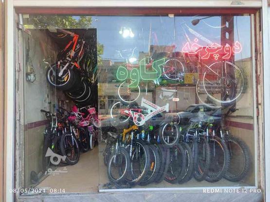 فروش اقساطی دوچرخه به صورت چک بلند مدت در گروه خرید و فروش ورزش فرهنگ فراغت در آذربایجان غربی در شیپور-عکس1