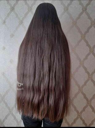 خریدار موی طبیعی بانوان از 50سانت به بالا خریداریم از2تا10تم در گروه خرید و فروش لوازم شخصی در خراسان شمالی در شیپور-عکس1