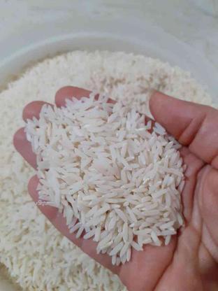 برنج طارم هاشمی اعلا در گروه خرید و فروش خدمات و کسب و کار در مازندران در شیپور-عکس1
