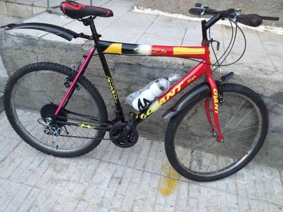 دوچرخه سایز 26 در گروه خرید و فروش ورزش فرهنگ فراغت در کرمانشاه در شیپور-عکس1