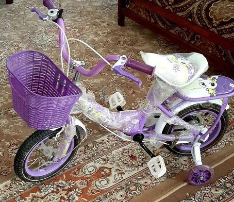 دوچرخه دخترانه سایز12 در گروه خرید و فروش ورزش فرهنگ فراغت در یزد در شیپور-عکس1