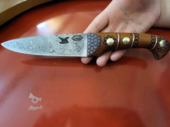 چاقو قصابی سید رضا قم در گروه خرید و فروش لوازم خانگی در قم در شیپور-عکس1