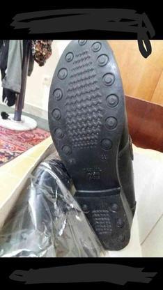 کفش مجلسی44 در گروه خرید و فروش لوازم شخصی در اصفهان در شیپور-عکس1