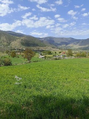 زمین کشاورزی در لرگان کجور در گروه خرید و فروش املاک در مازندران در شیپور-عکس1
