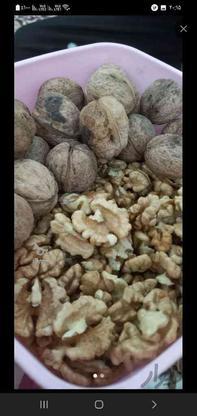 خریدار گردو و بادام در گروه خرید و فروش خدمات و کسب و کار در همدان در شیپور-عکس1