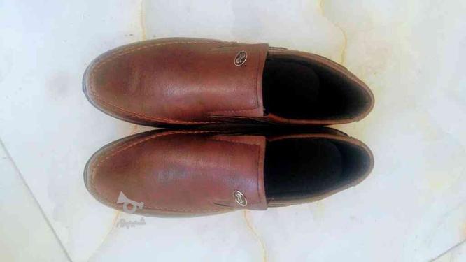 کفش نو سایز 43 در گروه خرید و فروش لوازم شخصی در همدان در شیپور-عکس1