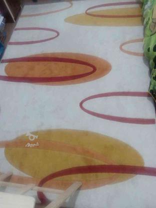 قالیچه دونیم در یک متر و نیم در گروه خرید و فروش لوازم خانگی در مازندران در شیپور-عکس1